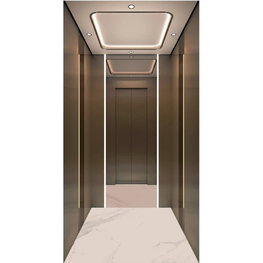 Luxury Home Elevators